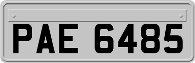 PAE6485