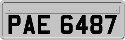 PAE6487