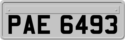 PAE6493