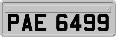 PAE6499