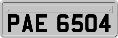 PAE6504