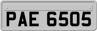 PAE6505