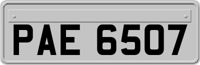 PAE6507