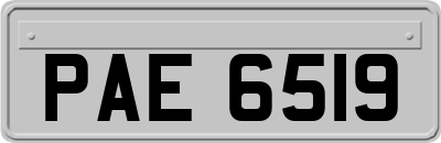 PAE6519