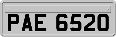 PAE6520