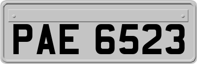 PAE6523