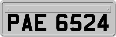 PAE6524