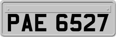 PAE6527