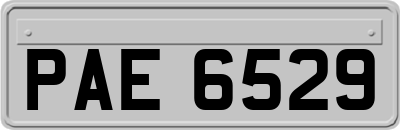 PAE6529
