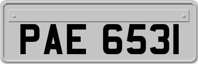 PAE6531