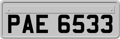 PAE6533