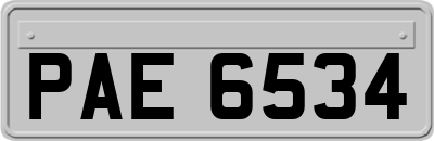 PAE6534