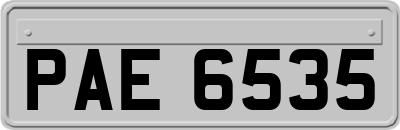 PAE6535