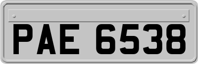 PAE6538