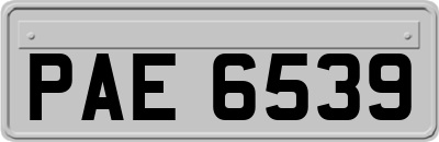 PAE6539