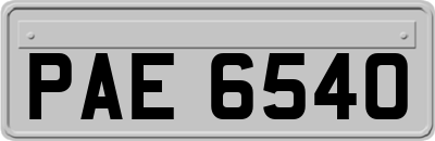 PAE6540