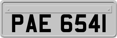 PAE6541