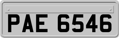 PAE6546