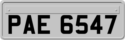 PAE6547