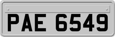 PAE6549