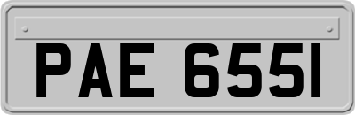 PAE6551