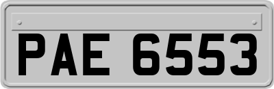PAE6553