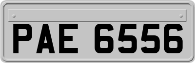 PAE6556