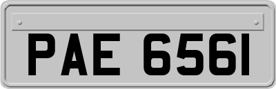 PAE6561