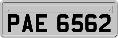 PAE6562
