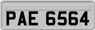 PAE6564