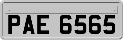 PAE6565