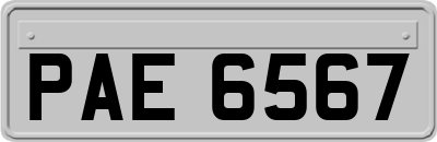 PAE6567