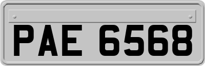 PAE6568