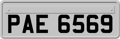 PAE6569