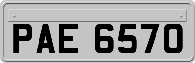 PAE6570