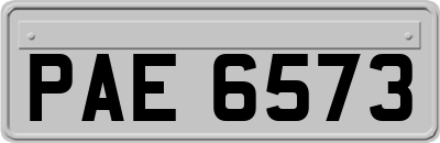 PAE6573