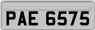 PAE6575