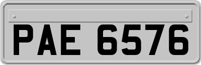 PAE6576