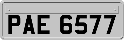 PAE6577