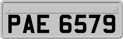 PAE6579