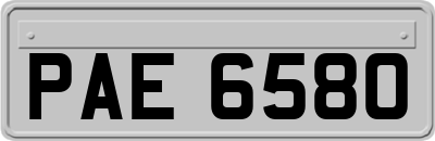 PAE6580