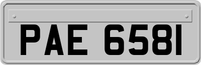PAE6581
