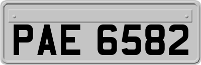 PAE6582