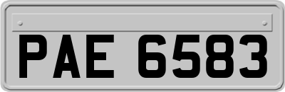 PAE6583