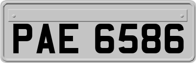 PAE6586