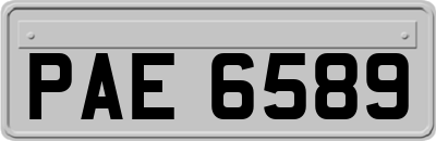 PAE6589