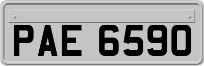 PAE6590