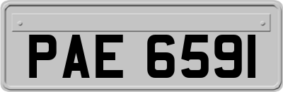 PAE6591