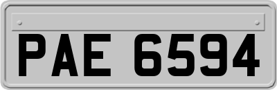 PAE6594