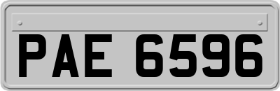 PAE6596